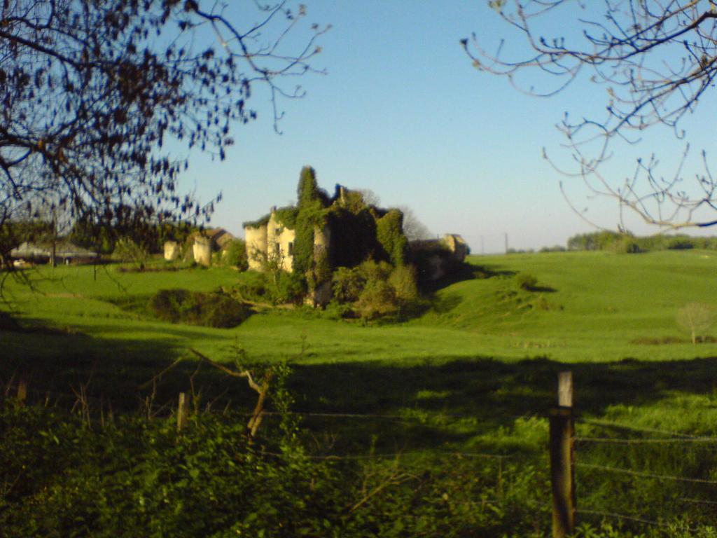 Les Champys Saint-Péreuse Exterior foto